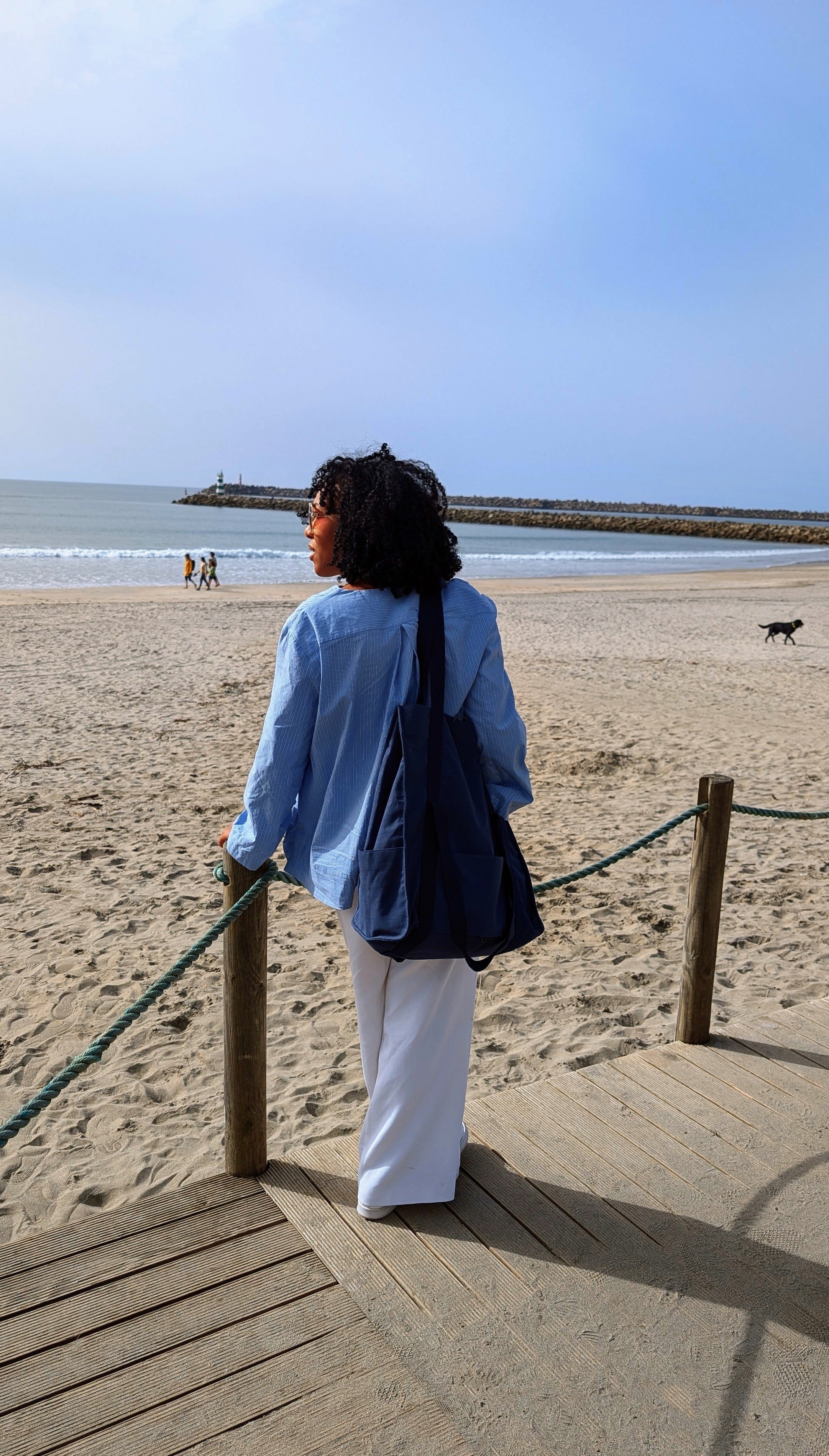 Carry All Bag - Blue White